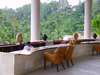 Four Seasons Resort Bali at Sayan 